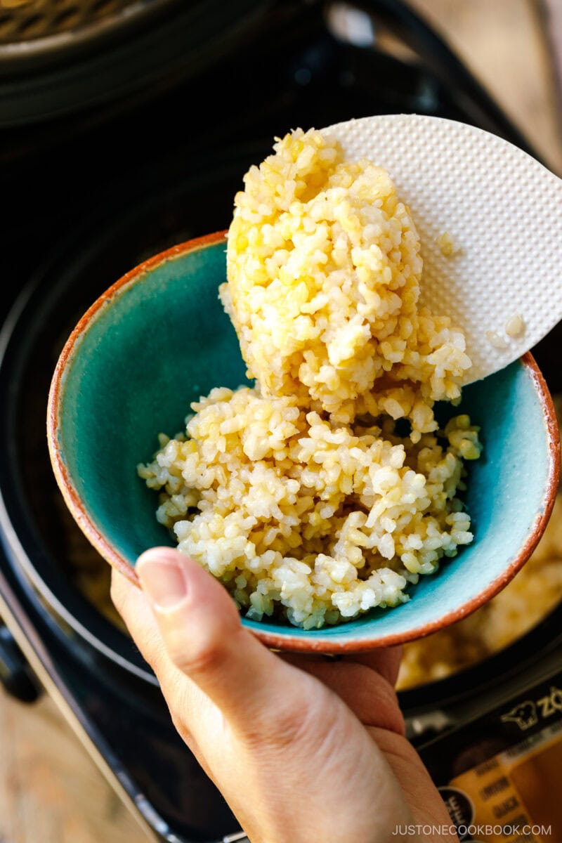 How to Cook Short-Grain Brown Rice in a Rice Cooker 玄米 • Just One Cookbook