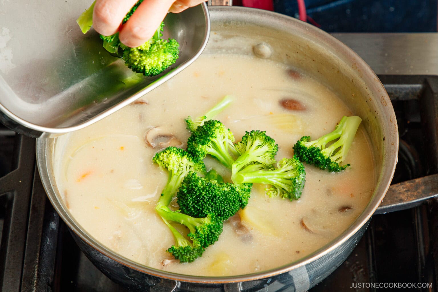 Easy Cream Stew (Video) • Just One Cookbook