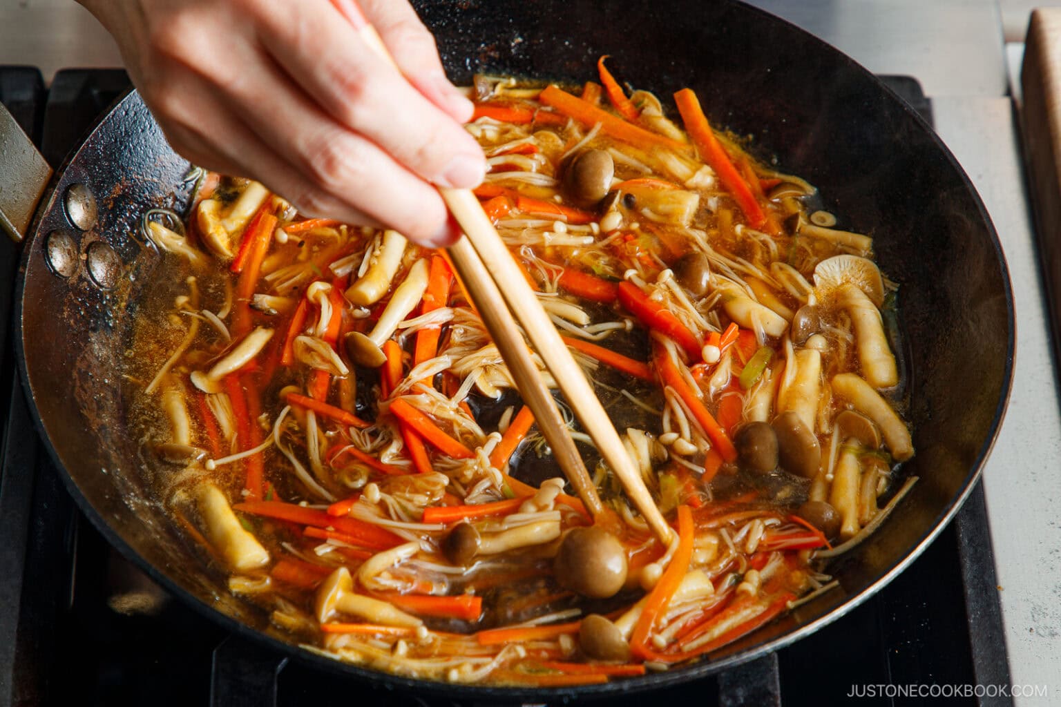 Japanese Tofu Steak with Mushroom Ankake Sauce 豆腐ステーキ • Just One Cookbook