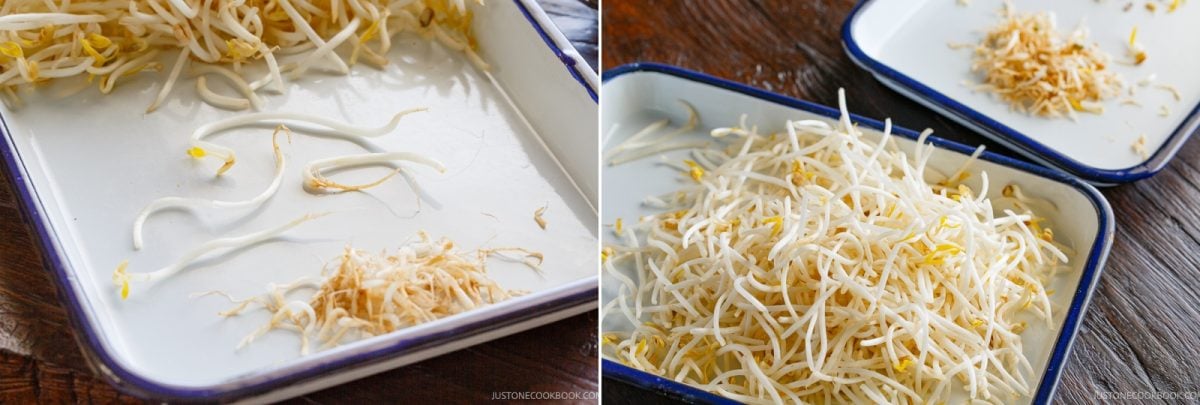 Two white trays with blue rims rest on a wooden surface; one tray has a small pile of bean sprouts, while the other showcases a larger, fresh heap, perfect for preparing a crisp Bean Sprout Salad.