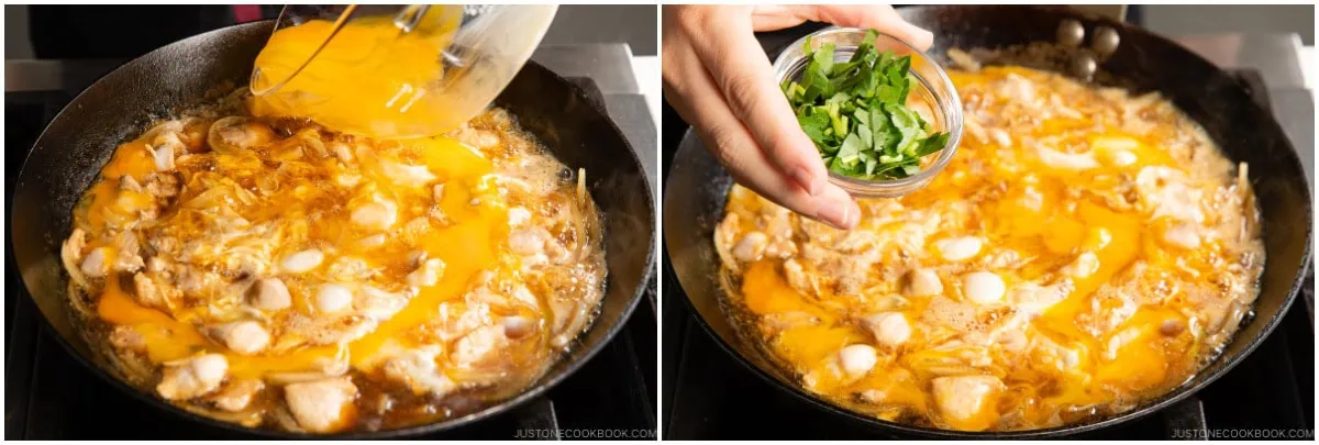 Oyakodon 14