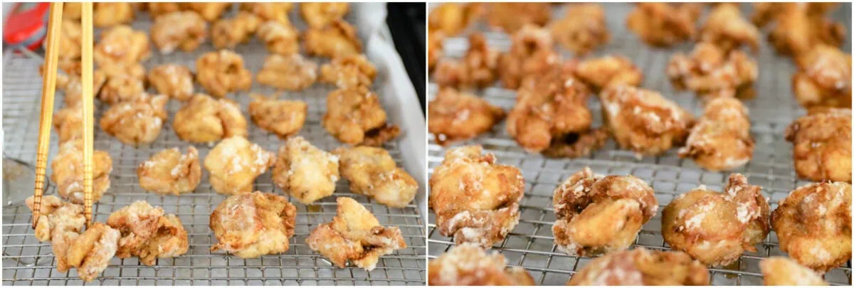 Karaage 12
